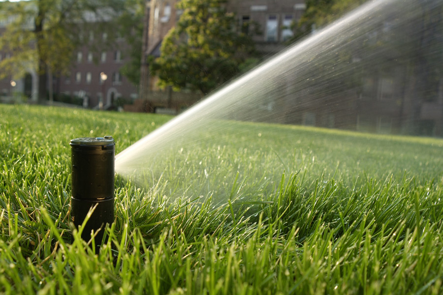 close up of a lawn sprinkler in action