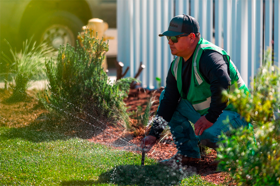 Man installing sprinkler system.