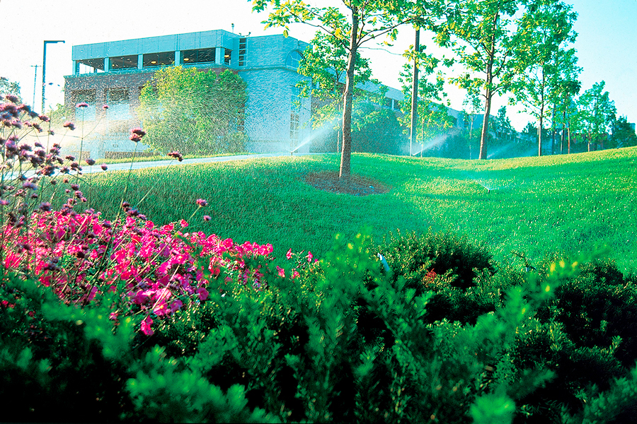 Commercial Office Beauty Shot