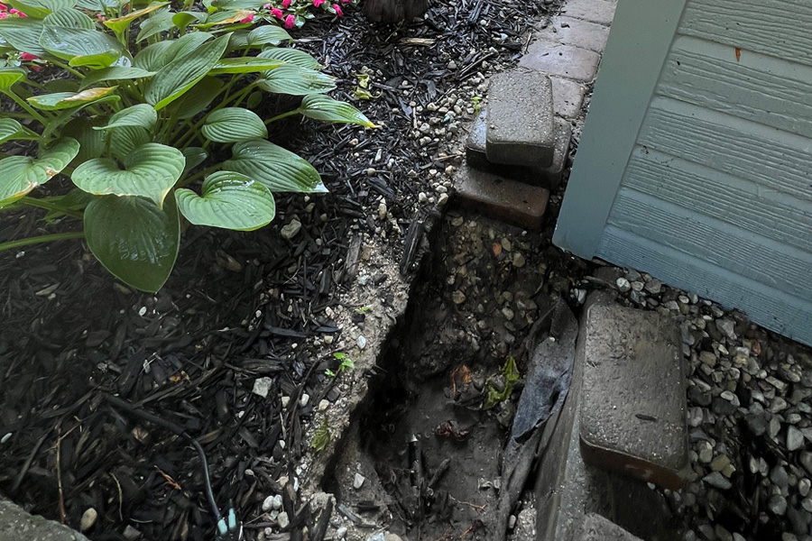 repair work on a residential backyard garden